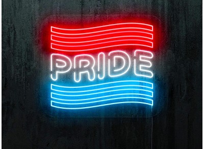 neon led orgullo lightsandwires