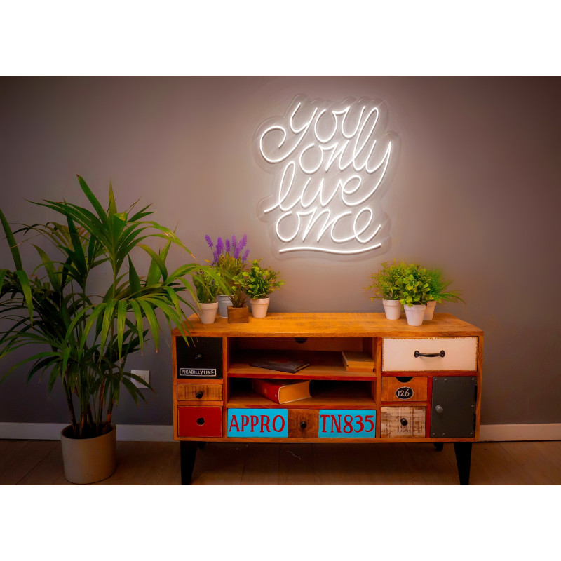 Rotulos de neón LED - Luces de neón "You only live one"