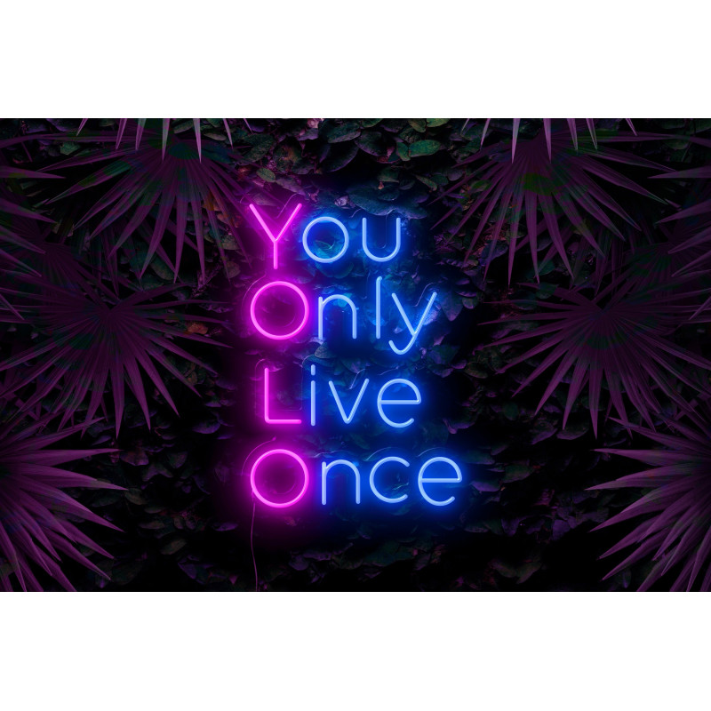 Carteles de Neón Led - Luces de neón "You Only Live Once"