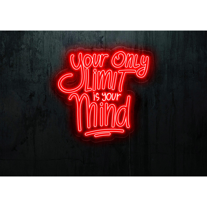 Rotulos de neón LED - Luces de neón "You only live one"