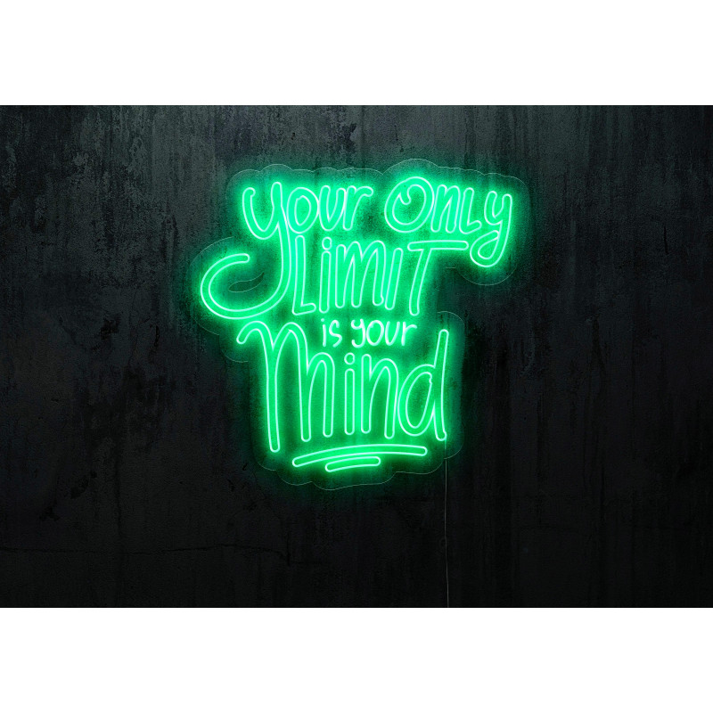 Rotulos de neón LED - Luces de neón "You only live one"