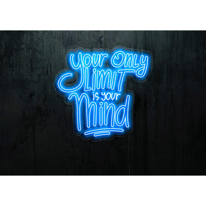 Rotulos de neón LED - Luces de neón "You only live one"