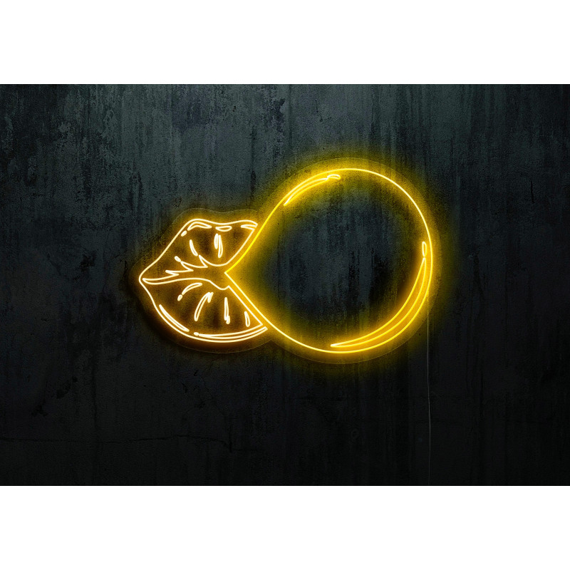 NEON LED POMPA DE CHICLE, LIGHTSANDWIRES