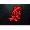 neon led diente de leon, lightsandwires